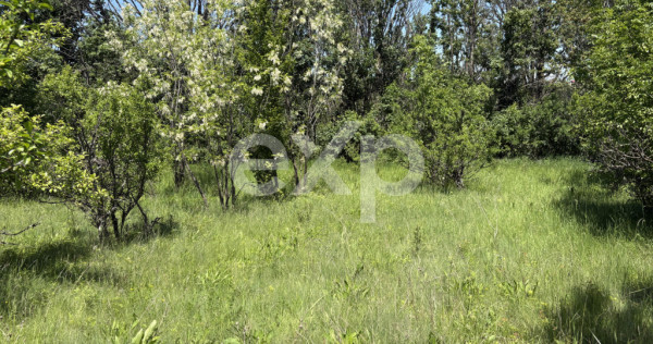 Teren 2.200 mp | 11 km de Pitești | Vanzare integral sau pa
