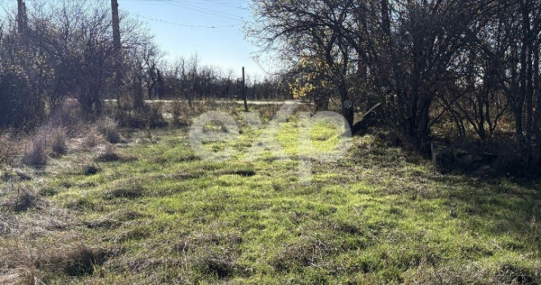 Teren langa padure, liniste, aer curat la 11 km de Pitesti