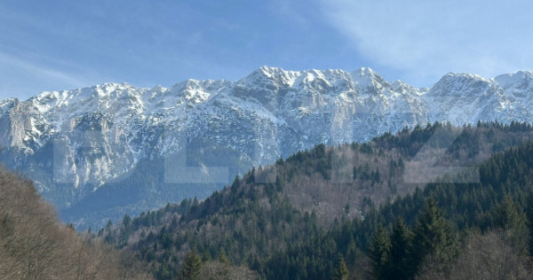 Teren exceptional zona Plaiu Foii Zarnesti