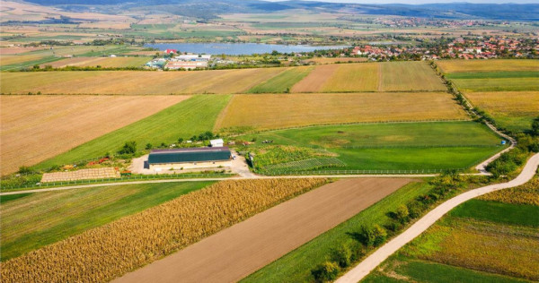 FILM! 18.000 mp, extravilan, agricol constructii:ferma,inve