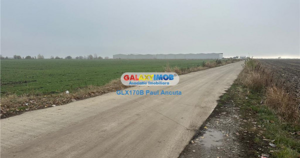 Teren la sosea Afumati Petrachioia 29500 mp pentru Industria