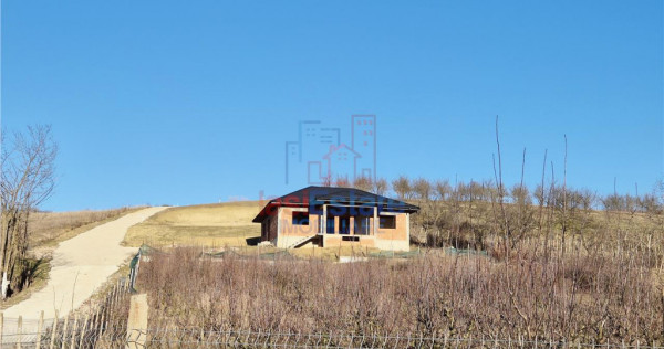 Casa individuala cu verere frumoasa