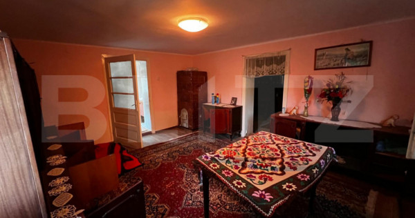 Casă de v&acirc;nzare &icirc;n Blaj &ndash; 1950 mp teren, 110 mp utili