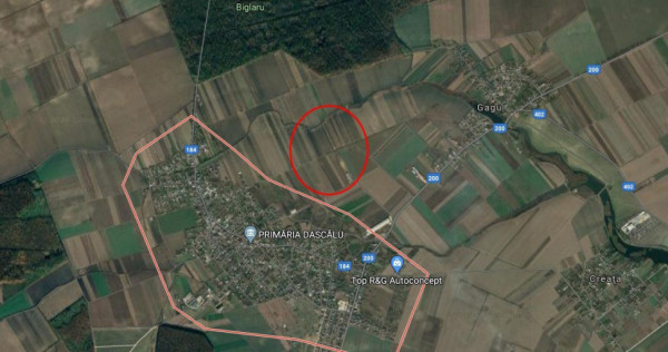 Teren Dascalu 19000 mp - Posibilitate de parcelare!