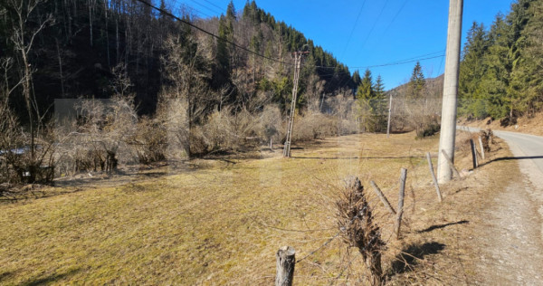 Teren intravilan 2690 mp la munte, Garda de Sus