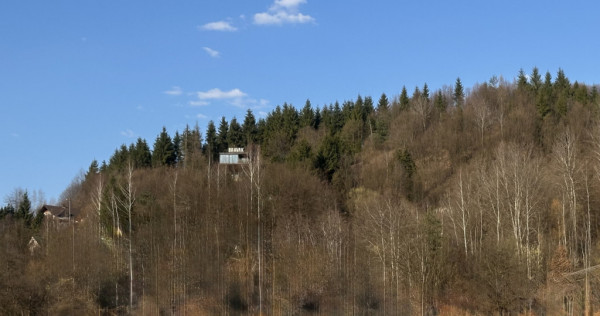 Teren intravilan, 25 ari, zona Firiza