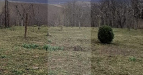 Teren intravilan Ipotești - Botosani &ndash; zonă liniștită
