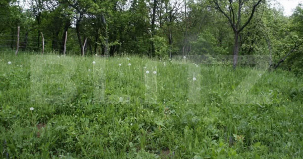 Teren de v&acirc;nzare &ndash; Runcu | Priveliște panoramică deoseb