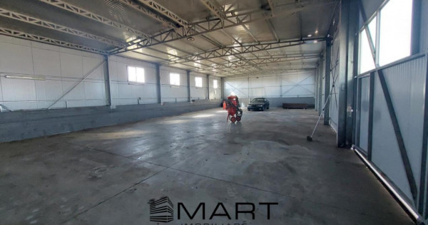 Hala industriala Calea Surii Mici