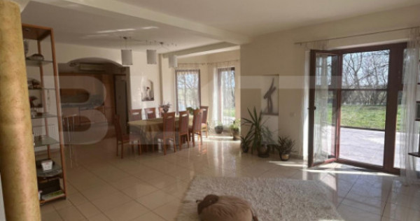 Vila Remetea Mare 380mp utili, 3982 mp teren