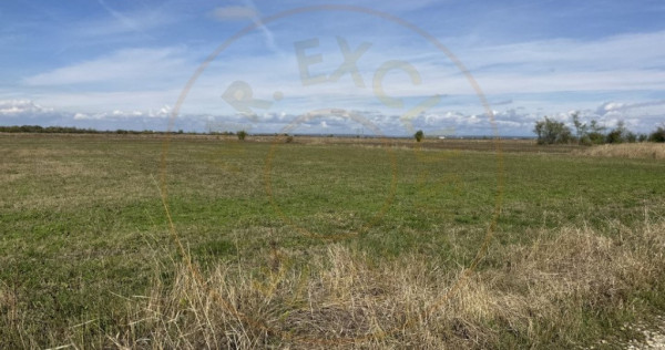 Teren intravilan 3700 mp la 28 km de Pitesti - zona linisti