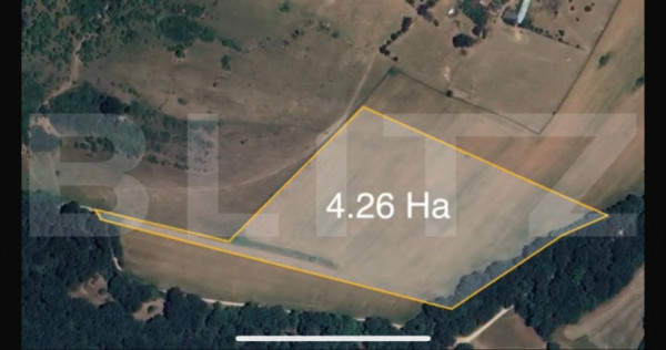 Teren extravilan, 42.600 mp, Sebeș