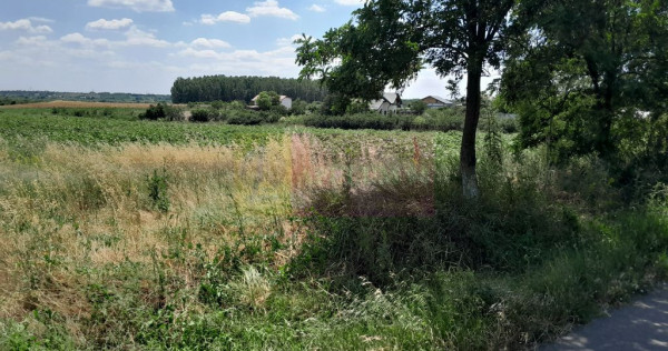 DE VANZARE 2 LOTURI LIPITE (TOTAL 16.500 MP) IN SAT TEISO...