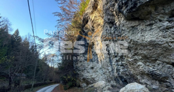 Teren 2.882 mp &ndash; oportunitate investitie - Cheile D&acirc;mbovi