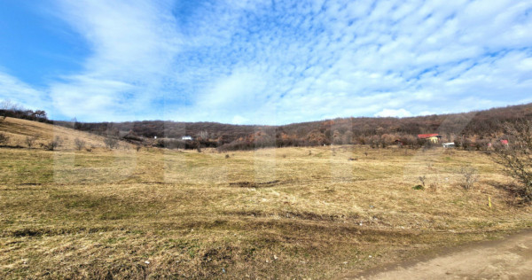 Teren intravilan 4100 mp &icirc;n Florești | Parcelabil | Zonă