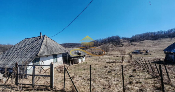 Vand teren intravilan Stejaru Bacau