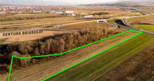 RECO Teren extravilan aproape de zona industriala Beius