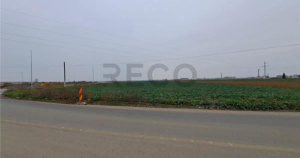 RECO teren intrare Chiribis