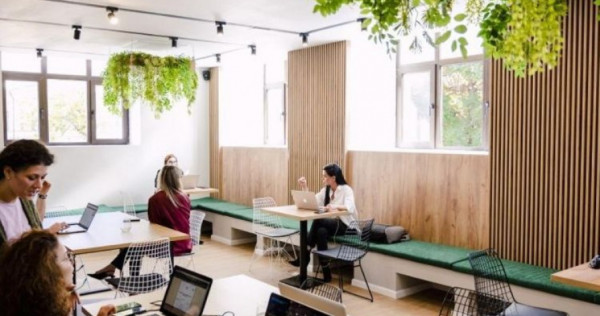 Calea Victoriei I Vila Monument Istoric I Consolidata si Ren