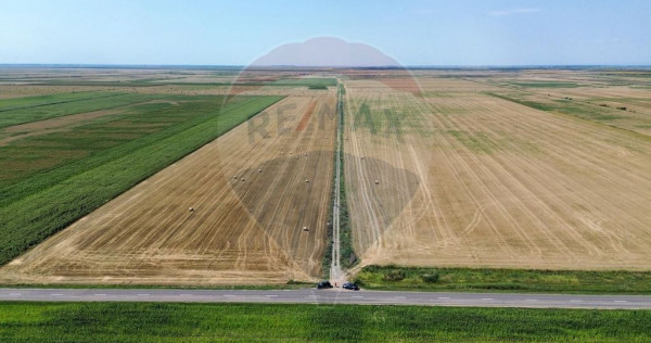 Teren 500 h plus 1000h arenda Vrancea