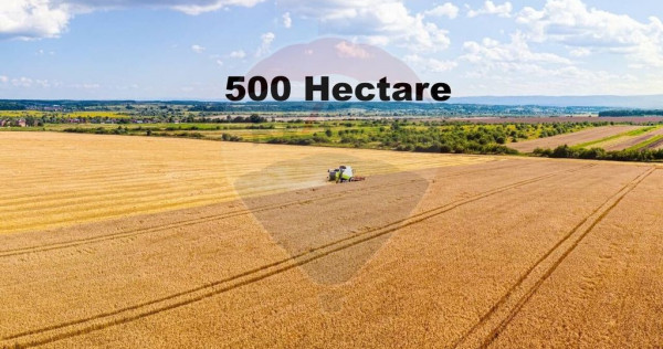 Teren 500 h plus 1000h arenda Vrancea