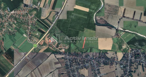 Teren Gruiu (Lipia), 4700 mp