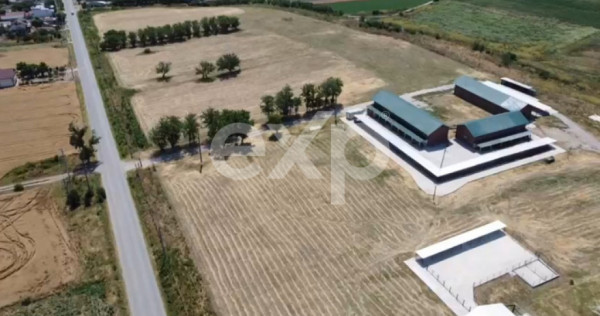 Black Angus Farm with authorized Slaughterhouse