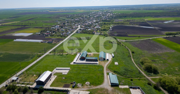 Black Angus Farm with authorized Slaughterhouse