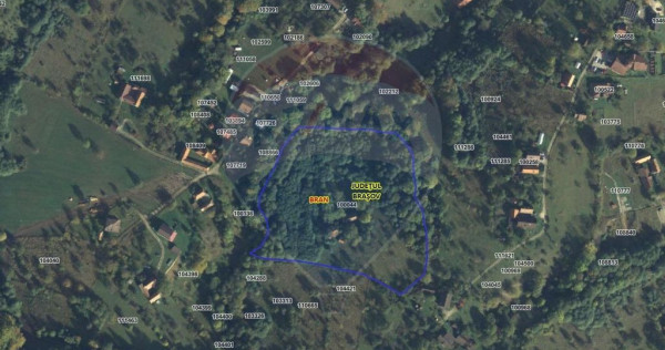 16 E+TVA/mp: Teren Bran Predelut 24253 mp intravilan proi...