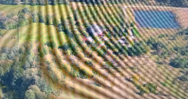 Domeniu privat 6 hectare cu lac și păstrăvărie | Vilă 6 dormitoare | C