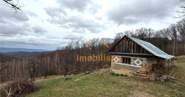 TEREN 34.000 MP | SERANI BIHOR