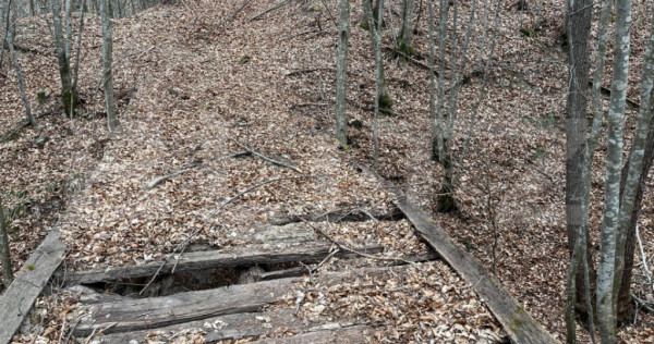 Teren extravilan de vanzare, 3.5 ha padure + pasune in Comun
