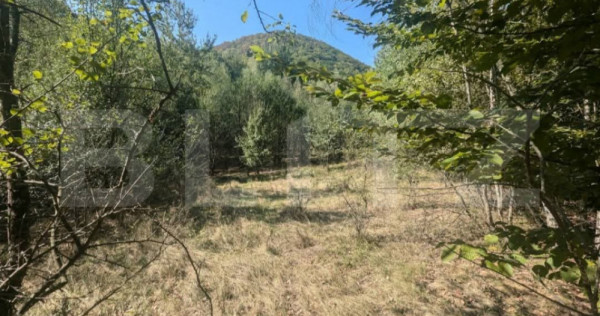 Teren extravilan de vanzare, 3.5 ha padure + pasune in Comun