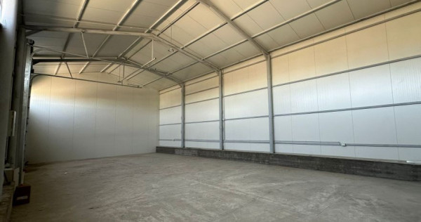 Zona industriala Hala Noua