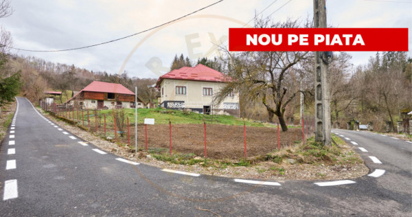 Casa la munte cu teren generos in Com. Nucsoara, loc. Slat