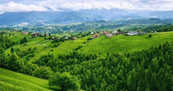 7.000 mp, pozitie spectaculoasa, fara vecini, Fundatica, Bra