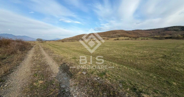 Teren de vanzare extravilan 1000mp - Aerodrom