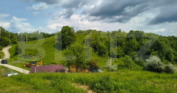 TEREN ideal CASA VACANTA,CASA LOCUIT ,ZONA SUBCARPATICA Vale