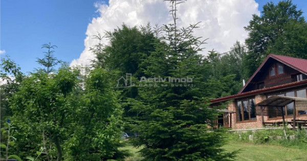 Pensiune - Restaurant - Cabanute - Lac pescuit