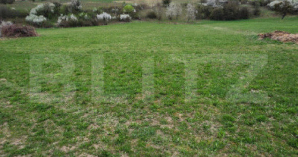 Teren extravilan, langa Pensiunea Jacky, Unirea, 1 h!