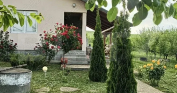 Proprietate deosebită cu livadă matură și cabană &ndash; zo