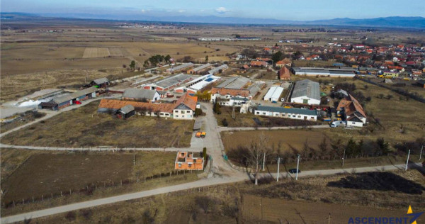 FILM! 25.400mp teren Complex agrozootehnic cu traditie, acc