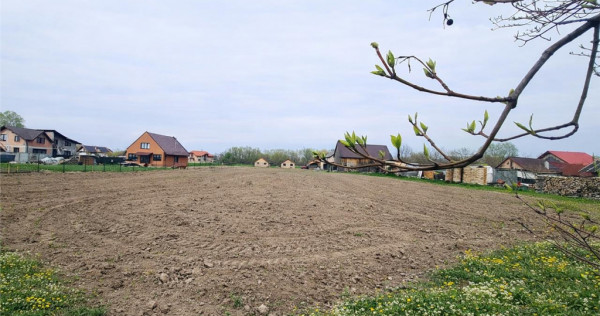 Teren 1.700 mp intravilan, natura, vecinatati bune, potentia