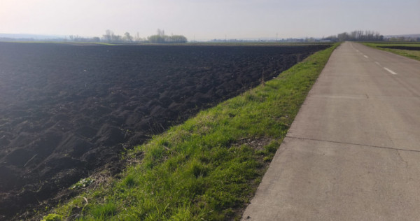 Teren extravilan, 9300mp, 55ml deschidere la drum, Satu Mare