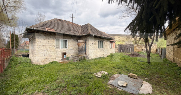 Teren intravilan 2.600 mp + casă, Zonă liniștită, Vultur