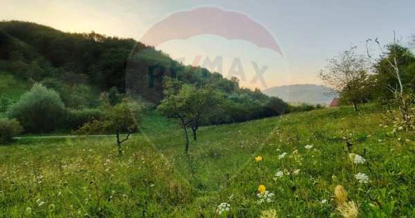 Comision 0! Teren intravilan 2.339 mp Barsana &ndash; oferta ...