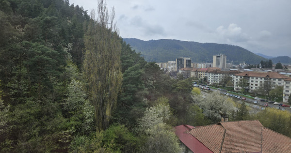 Apartament 2 camere, etaj 8/9, priveliște superbă Zona Orh