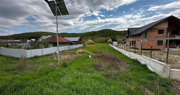 Teren intravilan de vanzare 2900 mp Luncani Bacau