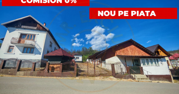 2 Case + teren 3233 mp Darmanești Arges