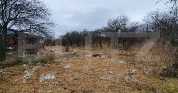 Casa cu teren generos &icirc;n Ceanu Mic &ndash; 1.700 mp, la doar 20